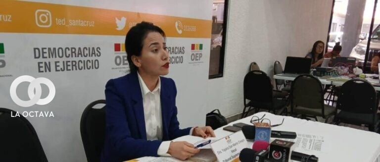 Yajaira San Martín, Vocal del Tribunal Supremo Electoral (TSE)