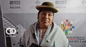 Virginia Ugarte, Representante de la Asamblea Permanente de los Derechos Humanos de El Alto