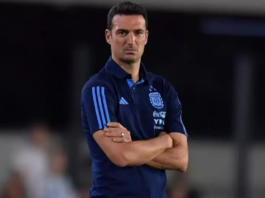 Lionel Scaloni, Director Técnico de la Selección Argentina, foto: Nota Al Pie