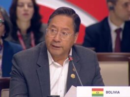 Luis Arce Catacora - Presidente de Bolivia