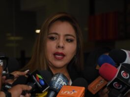 Foto: Gabriela Alcón, Viceministra de Comunicación