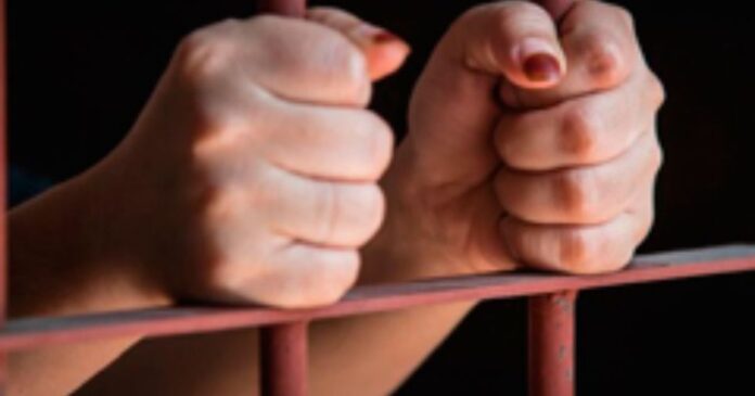 35bd34ab-e77b-445c-add2-13495afb8c77