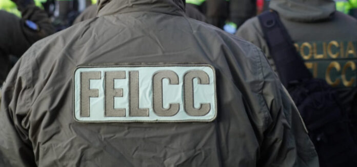 FELCC_1
