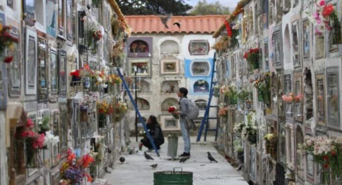exhumaran-55-restos-del-cementerio-general-de-la-paz-1241382