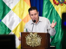 Edmand Lara Montaño, Vicepresidente de Bolivia Foto: ABI