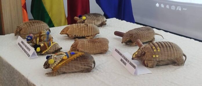 Los quirquinchos fueron decomisados por la Policía. Foto: Rosangela Sanabria – UNITEL